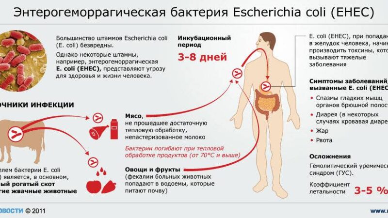 В ИСПАНИИ ПРОДАЕТСЯ ЗАРАЖЕННАЯ ПАРАЗИТАМИ ГОВЯДИНА