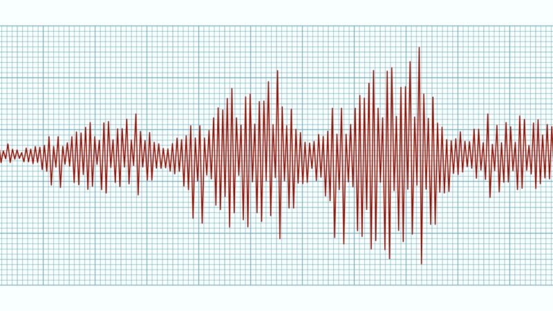 ВУЛКАН ПОД ТЕНЕРИФЕ ПРОСНУЛСЯ И ВЫЗЫВАЕТ РЕГУЛЯРНЫЕ ЗЕМЛЕТРЯСЕНИЯ, ПОКА СЛАБЫЕ